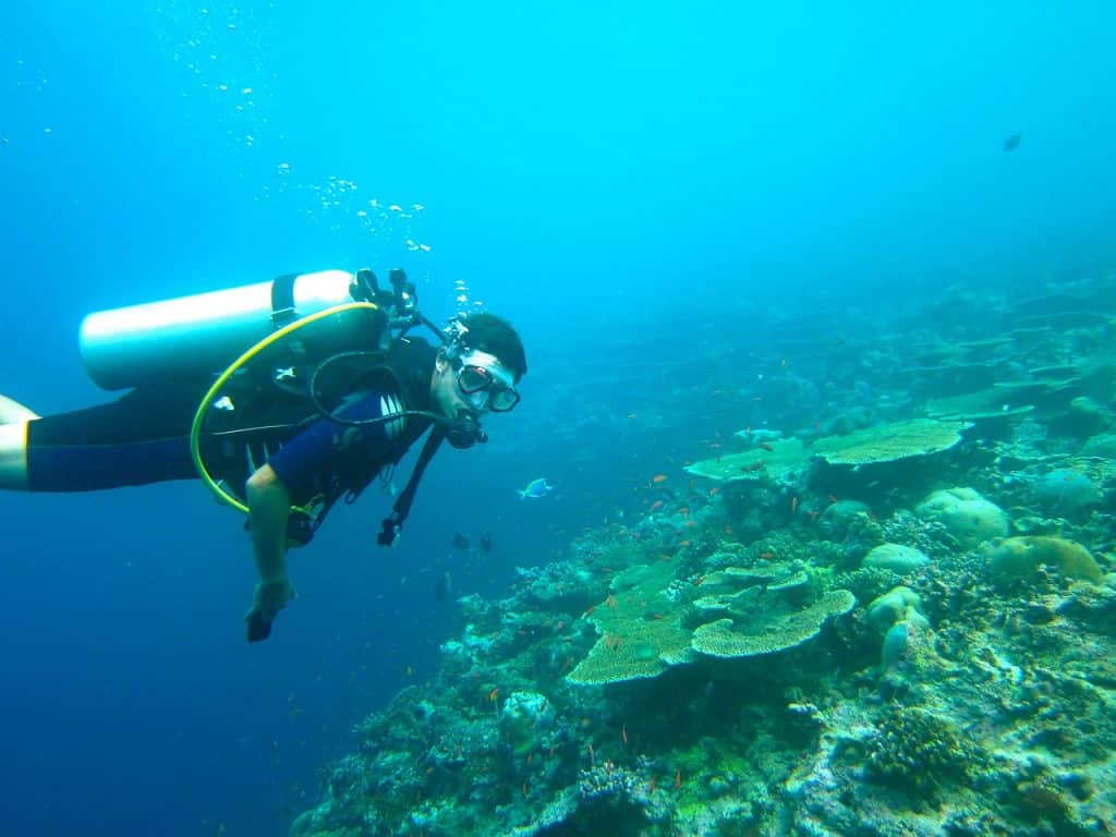 Plongée Maldives